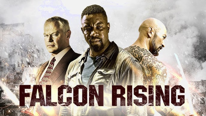 Falcon Rising (2014)